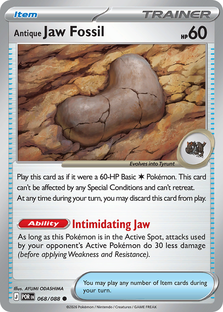Antique Jaw Fossil